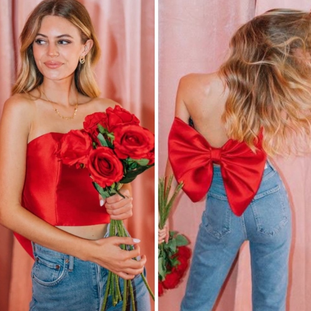 Hutch Delphine Red Satin Bow Top